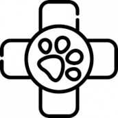 gallery/LOGO VETERINARIA